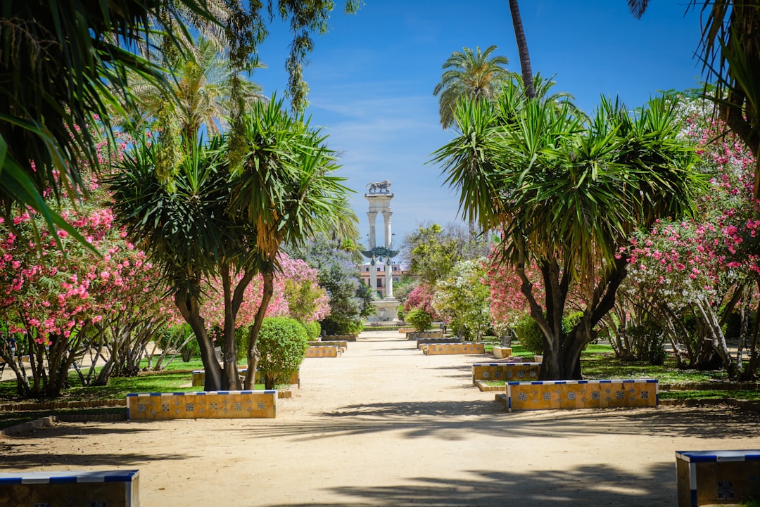 Photo Tropical garden